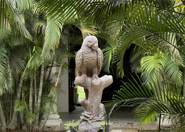 Hacienda Mi Soledad