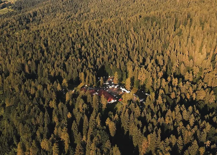 Forest Camp Val di Gresta