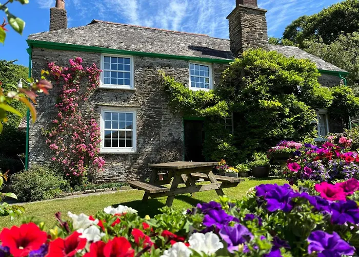 Shute Farm
