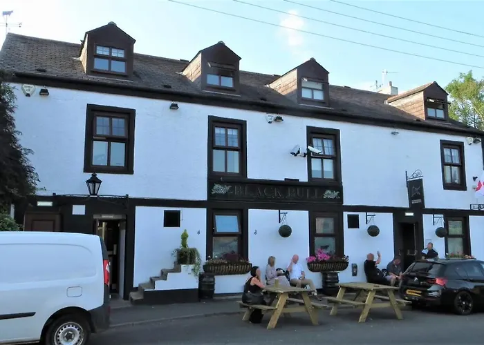 Black Bull