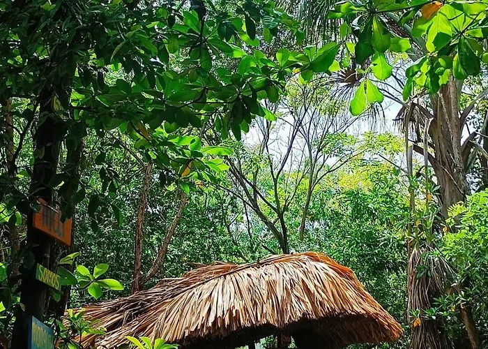 El Viejo del Mar