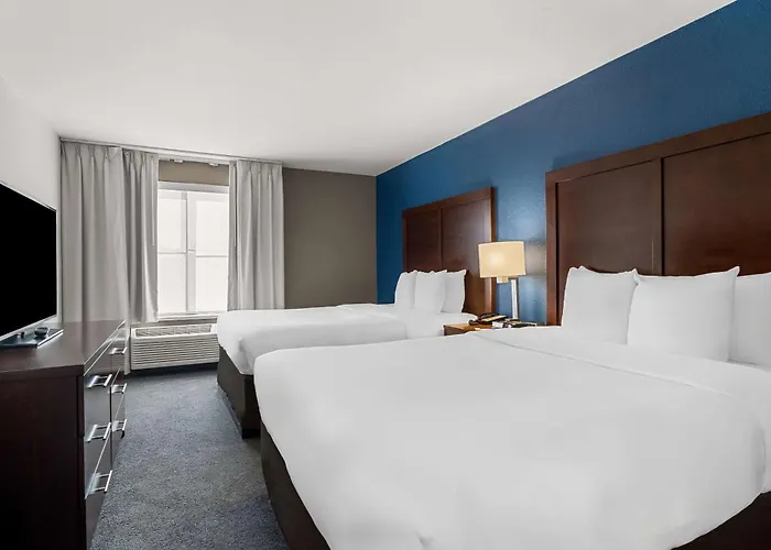 Comfort Inn & Suites Near Tinley Park Amphitheater