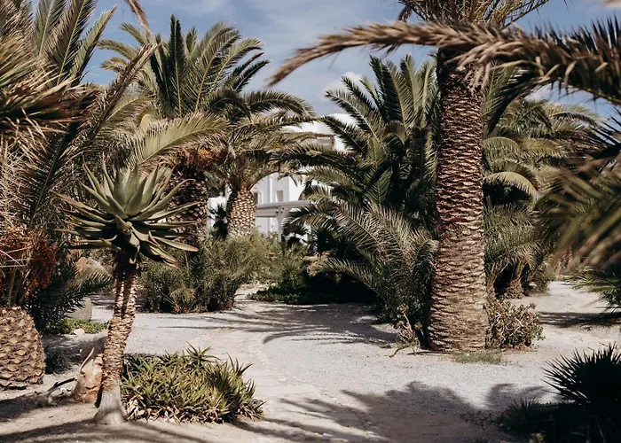 Medusa Beach Resort & Suites