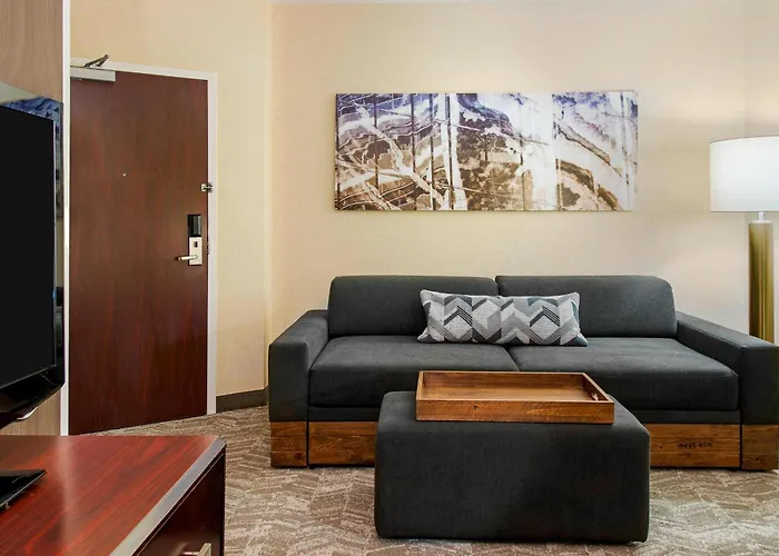 Springhill Suites By Marriott Wheeling Triadelphia Area