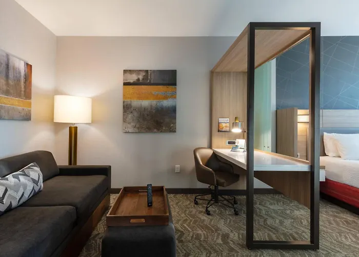 Springhill Suites By Marriott Chattanooga South/Ringgold