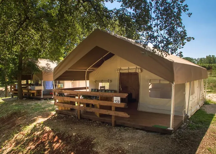 Sunflower Camping
