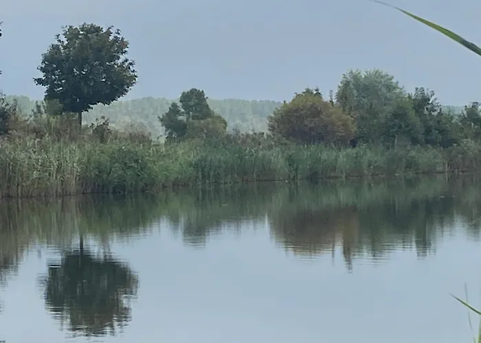 Ecolodge Almere With Private Outdoor Terrace & Beach