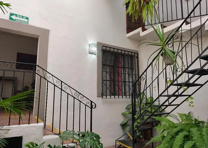 Casa Morena