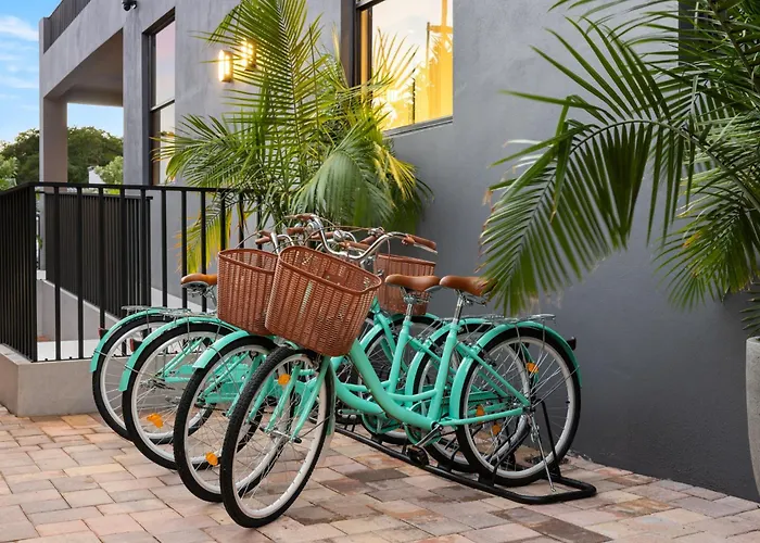 The Rover Miami
