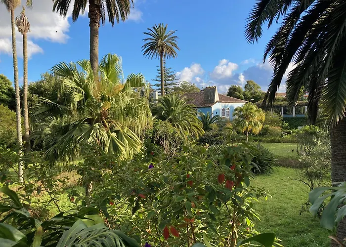 Quinta Das Palmeiras