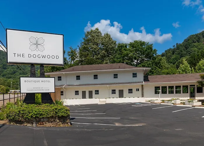The Dogwood
