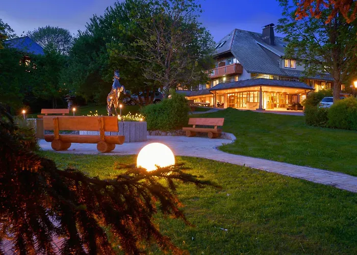 Hotel Schwarzwald-Resort Roessle