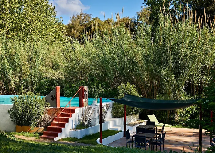 B&B Mas Torrencito Pet Friendly