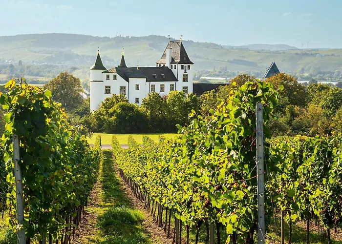 Victor's Residenz-Hotel Schloss Berg Nennig