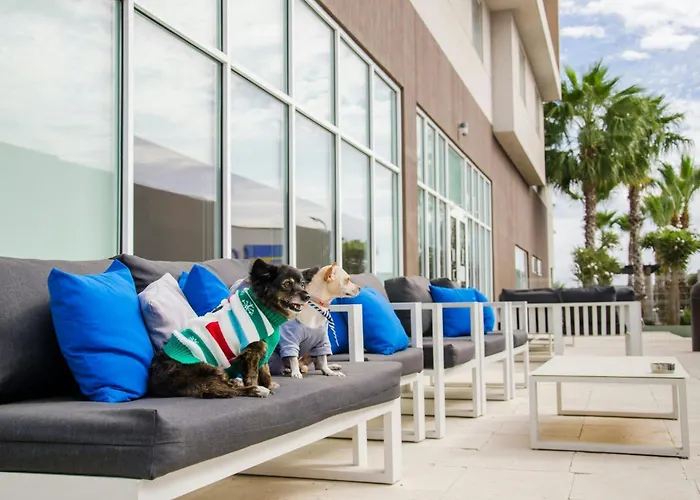 Courtyard By Marriott Hermosillo