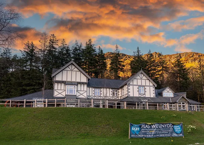 Plas Weunydd