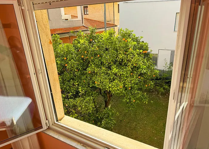 Bel Fiore San Benedetto del Tronto
