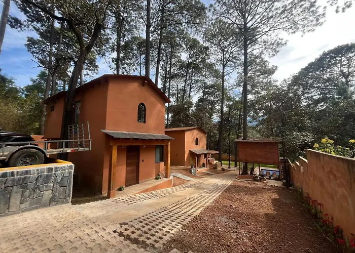 Bosque De Avandaro