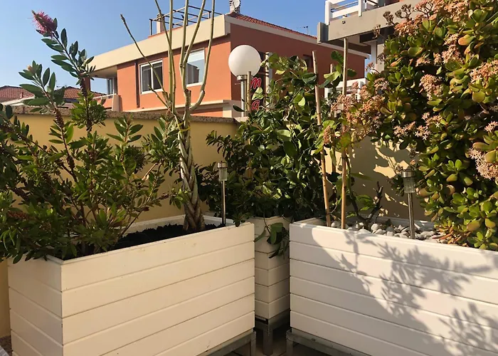 B&B Borgo Marina