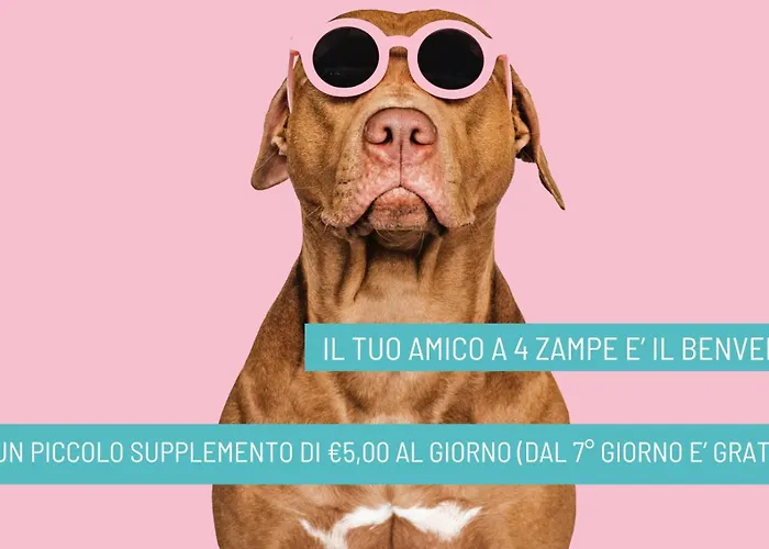 Hotel Nizza - NUOVA GESTIONE Riccione