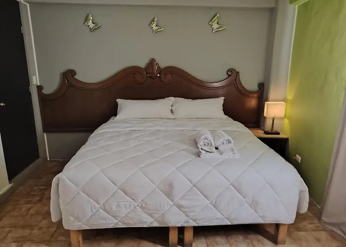 Cabo Tortuga Hotel Boutique