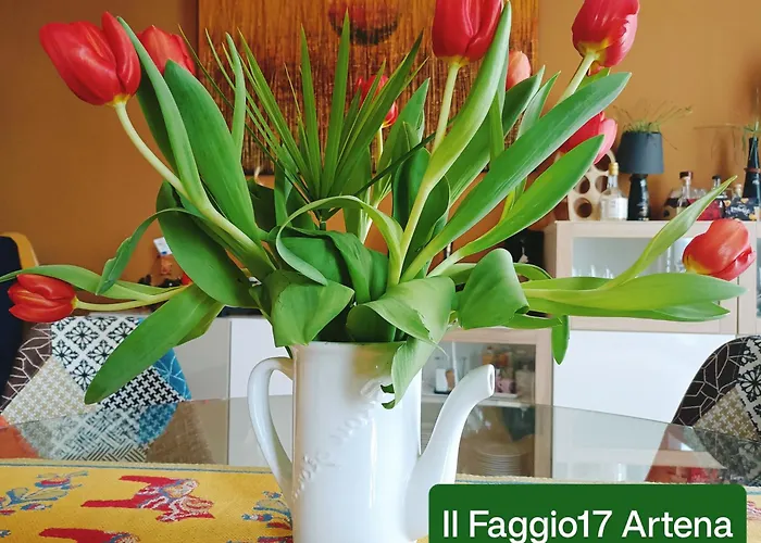 Il Faggio 17 B&B Artena