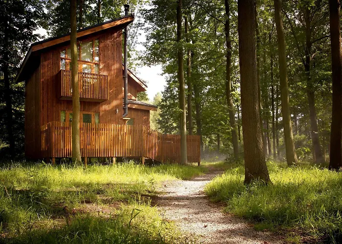 Sherwood Forest Cabins - Forest Holidays