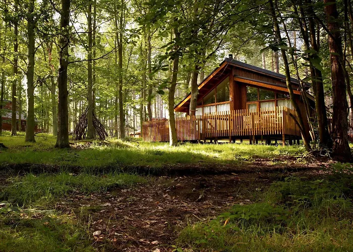 Sherwood Forest Cabins - Forest Holidays