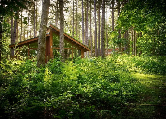 Sherwood Forest Cabins - Forest Holidays