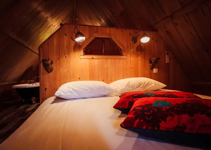 Les Volca'lodges de Tournebise