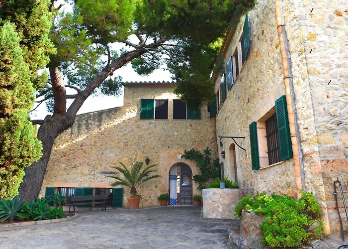 Asís de Marratxinet