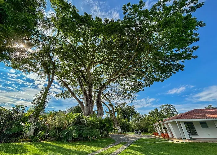 El Jardín Del Edén - Para Tu Niño Interior