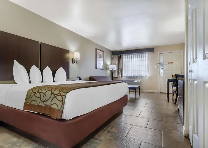 Best Western Padre Island