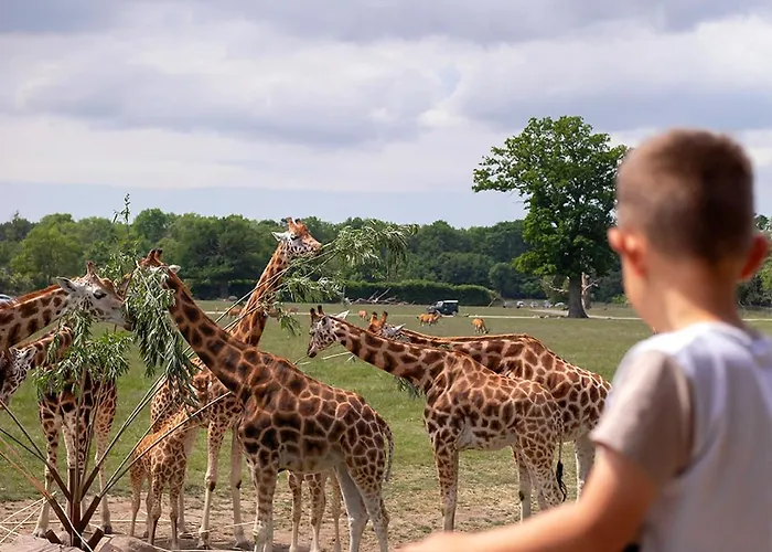 Knuthenborg Safaripark