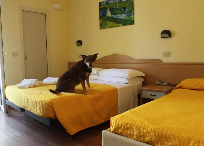Pet Hotel Virginia - Hotel per cani