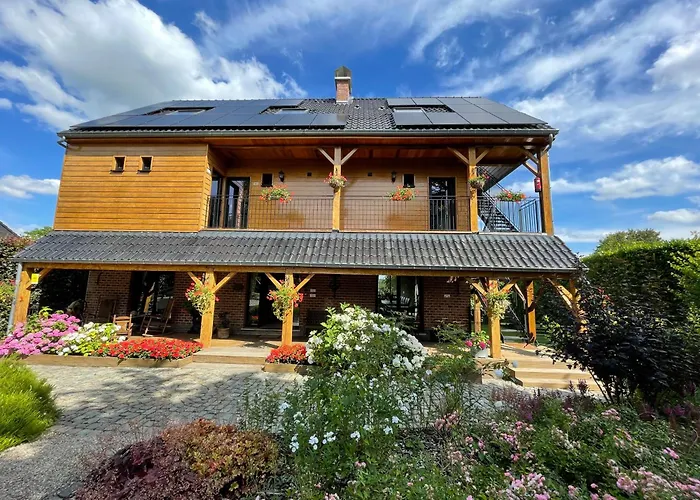Hallerbos B&B In Bluebell Forest