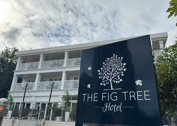 Fig Tree Shanklin