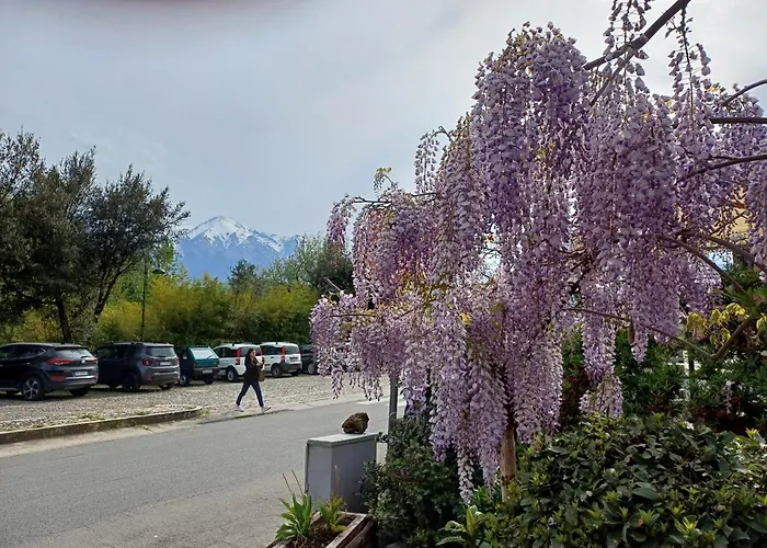 Agriturismo San GIovanni Ad Insulam