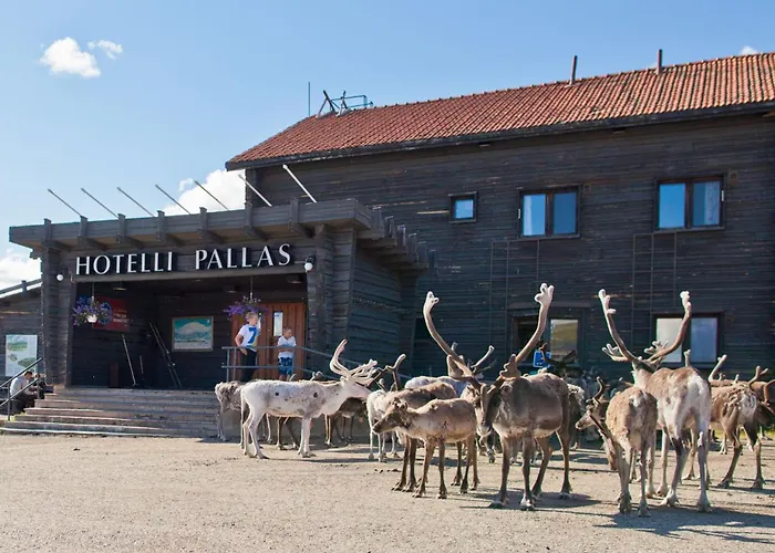 Lapland Hotels Pallas Berggipfel Berggipfel Pallastunturi