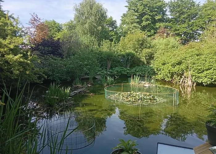 chambres d'hôtes naturistes de la moque souris