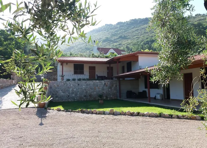 La valle del re