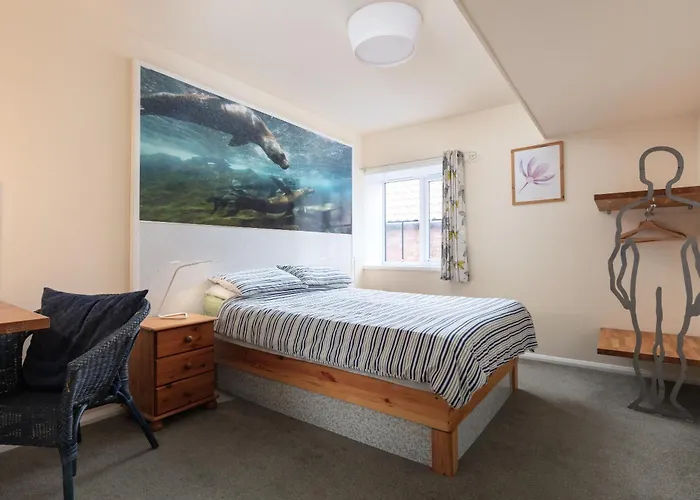 Discovery Accommodation