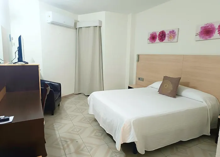 Hotel Oasis Familiar