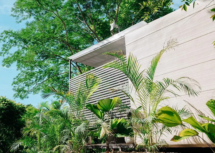 Alaya B&B - Yoga & Surf Retreat