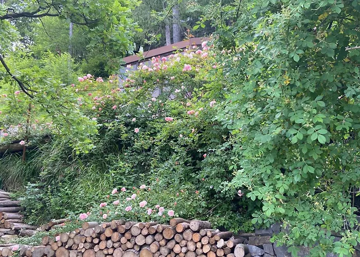 Suxen Nature Experience - Lodge Con Vista Panoramica