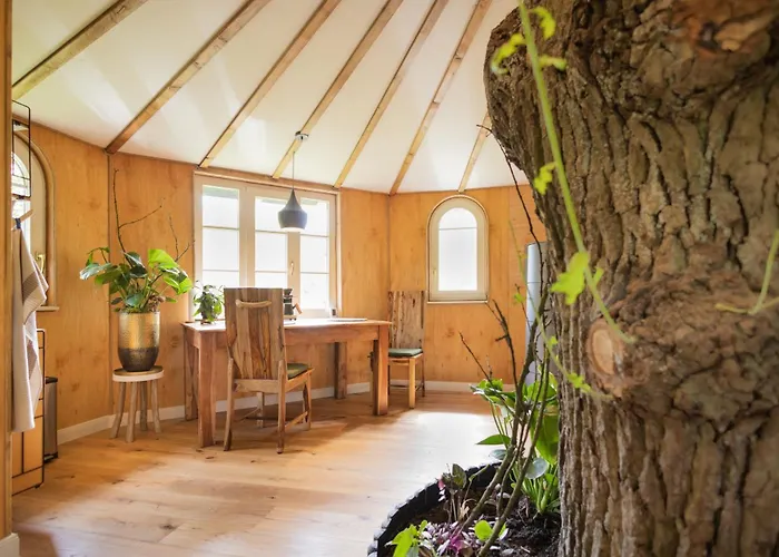 Baumhaus Solitär
