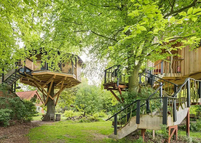 Baumhaus Solitär
