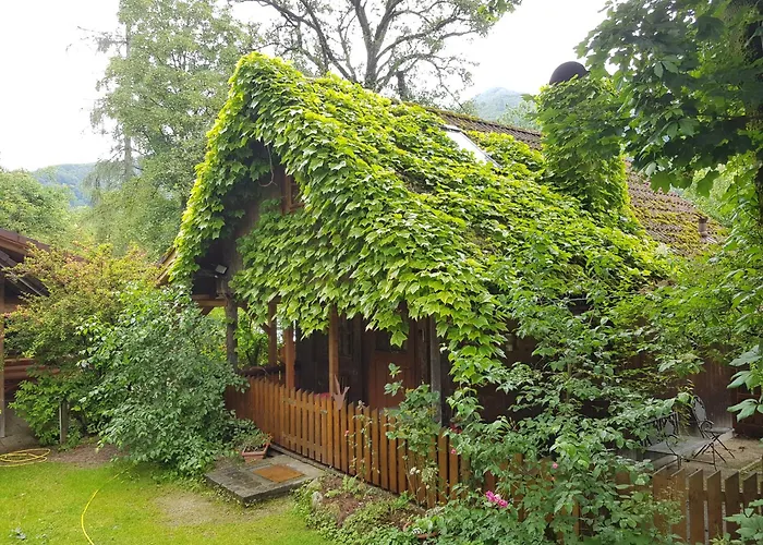 Steinschalerhof