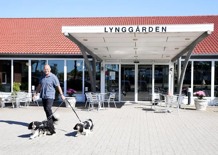 Lynggaarden