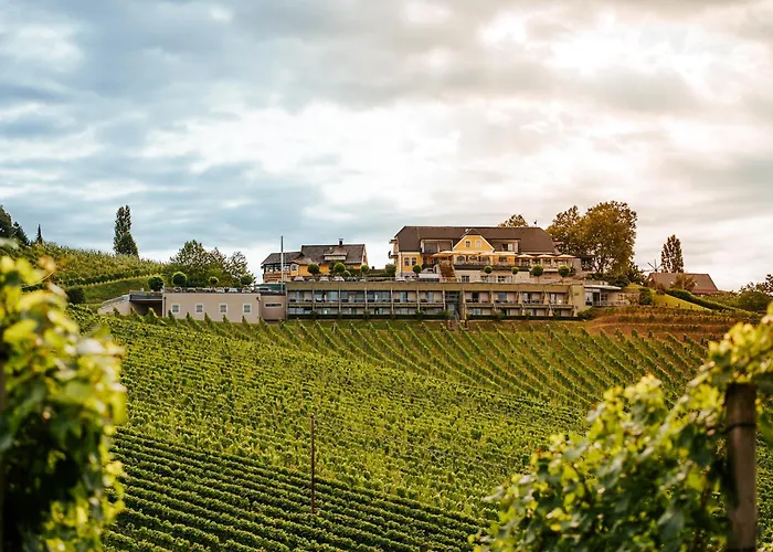 Weinrefugium Brolli